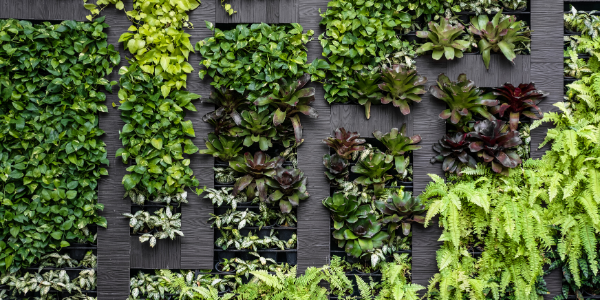 Vertical garden for your Hudson Valley NY home