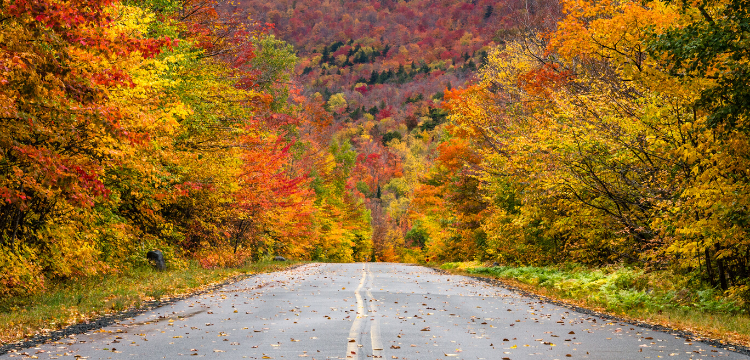 Fall Season in the Hudson Valley NY 